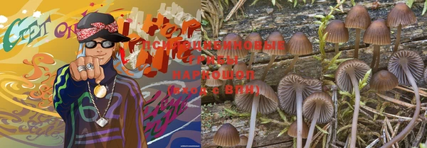 амфетамин Богородицк