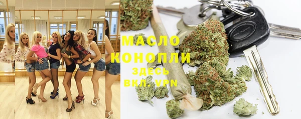 стаф Богородск