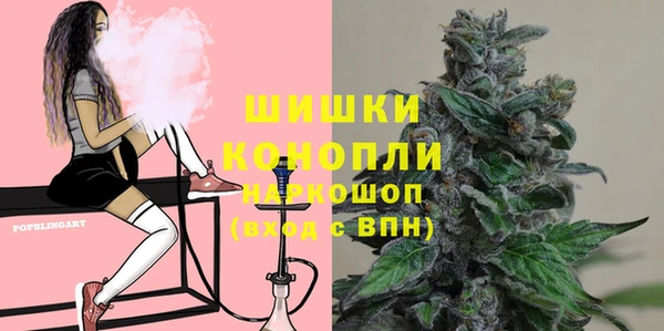 стаф Богородск