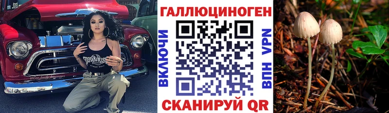 площадка Telegram Чебоксары Галлюциногенные грибы Psilocybe мега сайт